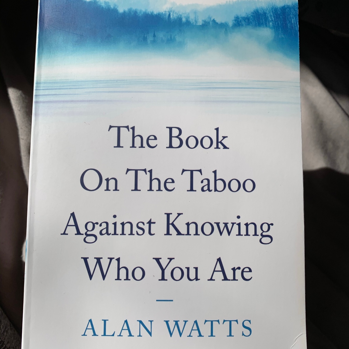 ‘The Book On The Taboo Against Knowing Who You Are’ by Alan Watts